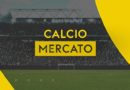 SERIE C… E’ già calciomercato.  Prima scelta  panchine e direttori